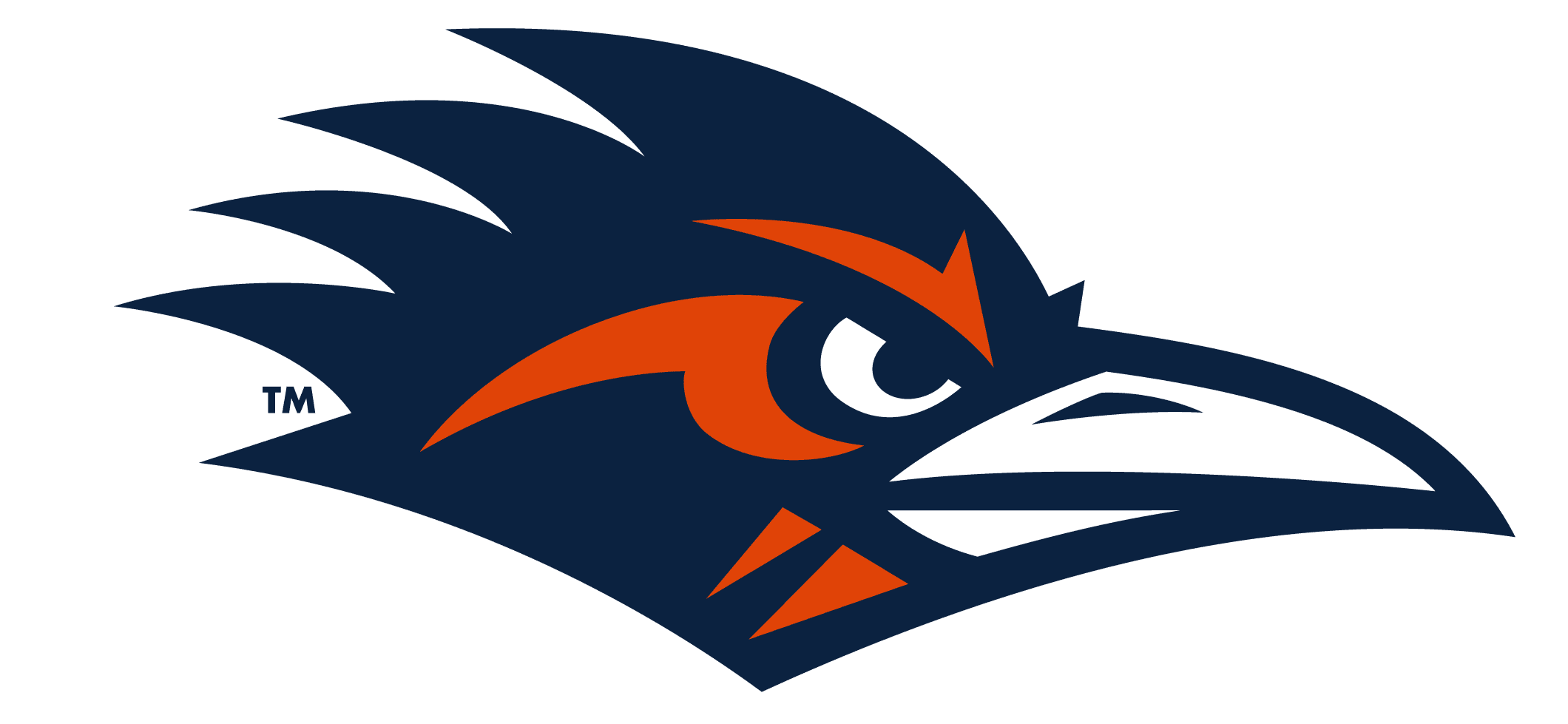 The University of Texas at San Antonio